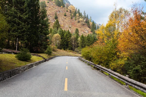 Forest road of local features — Stock Photo, Image