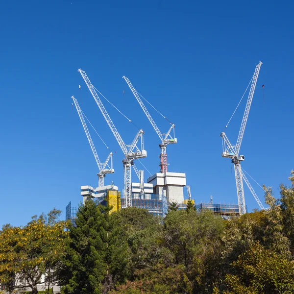 Brisbane, kaupunkien rakennustyömaat — kuvapankkivalokuva