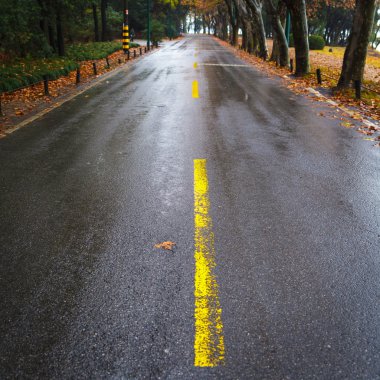 yağmur asfalt yol