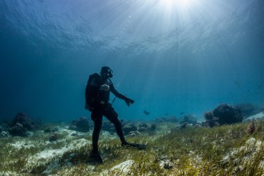Sualtı tüplü scape