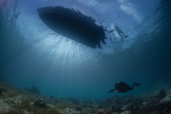 Unterwassertauchen — Stockfoto