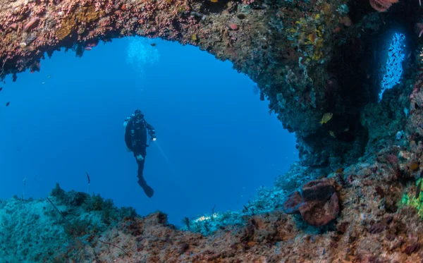 Víz alatti búvárkodás menekülsz — Stock Fotó