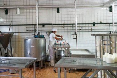 Brezilya 'nın Sao Paulo eyaletinde, Amparo' daki Fazenda Atalaia peynir çiftliğinin içinde.