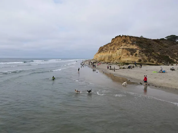 Dog Beach al guinzaglio a Del Mar North Beach, gente che porta a spasso i cani. Contea di San Diego — Foto Stock