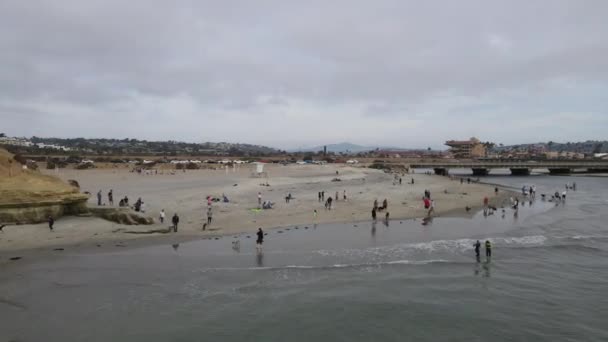 Dog Beach lossnar på Del Mar North Beach, folk rastar sina hundar. San Diego län — Stockvideo