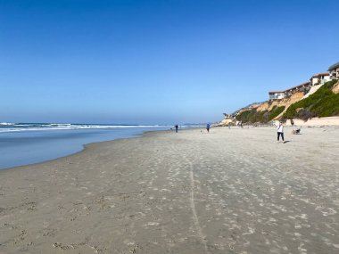 Del Mar Kuzey Sahili 'nde köpek kumsalı serbest, insanlar köpeklerini gezdiriyor. San Diego Bölgesi