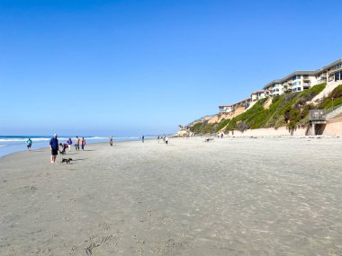 Del Mar Kuzey Sahili 'nde köpek kumsalı serbest, insanlar köpeklerini gezdiriyor. San Diego Bölgesi