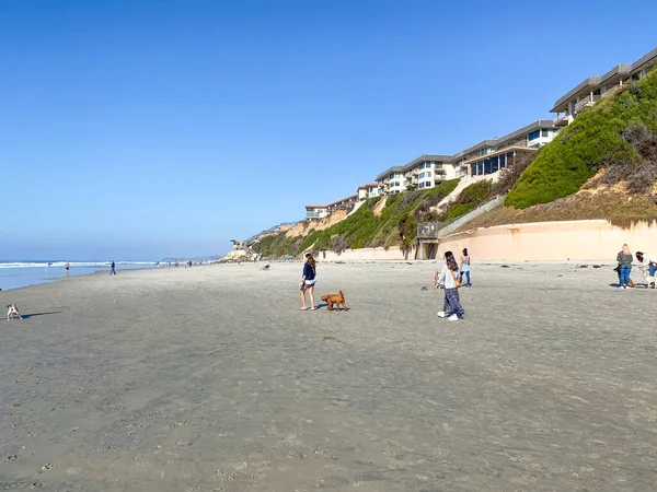 Dog Beach off-leash on Del Mar North Beach, people walking their dogs. San Diego County — Stock Photo, Image