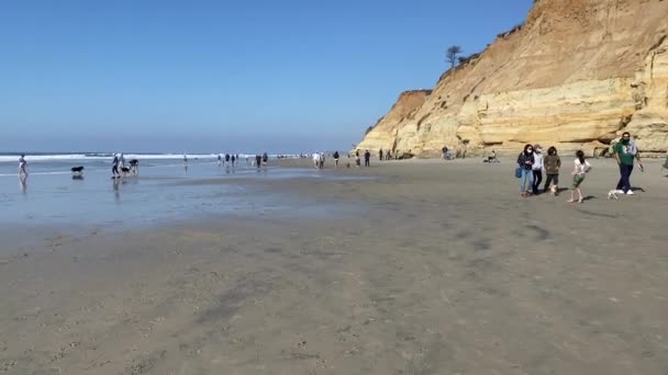 Del Mar North Beach, Kalifornien Klippen und Haus mit Pazifik — Stockvideo