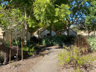 San Diego safari park hayvanat bahçesi içinde Safari hayvanat bahçesi çadır kampı