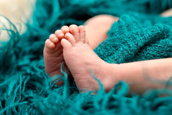 2週間のクローズアップ新生児の足青ふわふわブランケットで古い — ストック写真