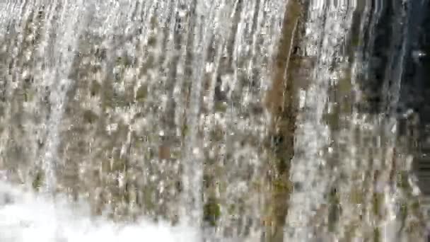 Маленький водопад из маленького пруда — стоковое видео