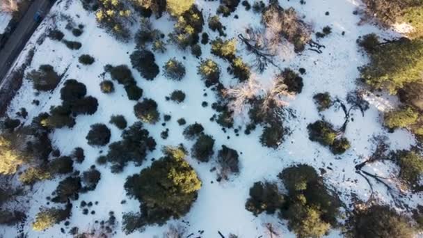 Vista aérea del centro histórico de la ciudad de Julian durante el día de nieve. — Vídeos de Stock