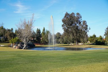 Golf sahasında San Diego 'da yeşillik.