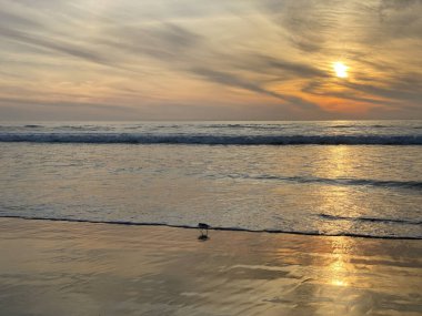 Koyu bulutlu gökyüzü ile turuncu okyanus plajı gün batımı. 