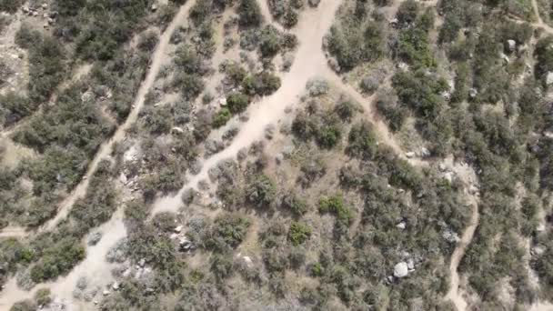 Vista aérea de uma pequena trilha no Simpson Park Wilderness Valley, em Santa Rosa Hills. Hemet, Califórnia — Vídeo de Stock