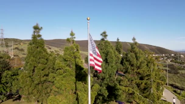 Pool met zwaaiende glorie Amerikaanse vlag omgeven door bomen — Stockvideo