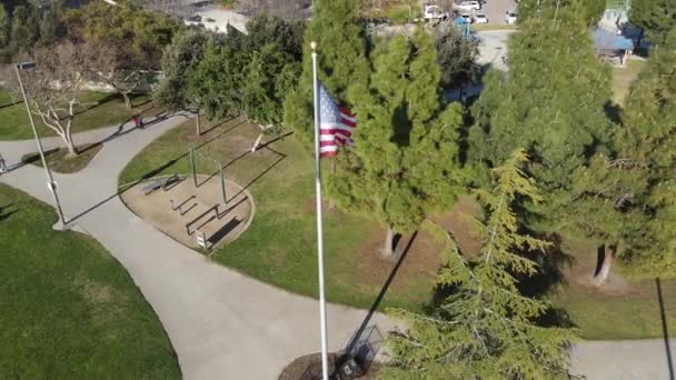 Poste con gloria ondeante Bandera americana rodeada de árboles — Vídeos de Stock