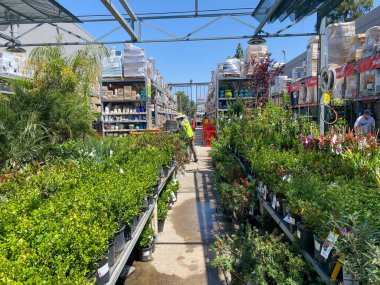 Rengarenk çiçek ve bitkiler satılık bir bahçe kreşinde, San Diego, California, ABD