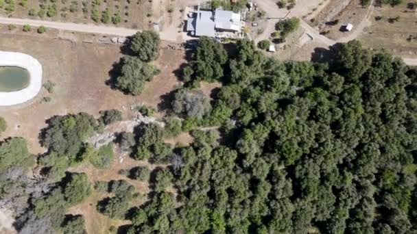 Vista aérea de la tierra juliana durante el verano seco. — Vídeos de Stock