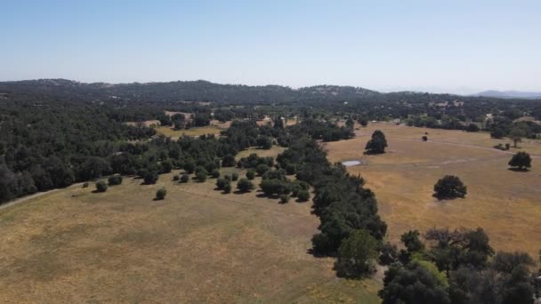 Vista aérea de la tierra juliana durante el verano seco. — Vídeos de Stock