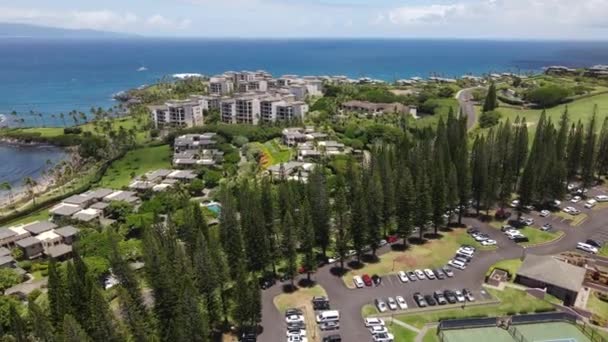 Vista aérea de la costa de Kapalua en Maui, Hawai — Vídeos de Stock