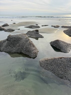 Kıyı kayaları ve berrak okyanus suyuyla sahilin göz kamaştırıcı manzarası. Yüksek kalite fotoğraf
