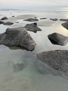 Kıyı kayaları ve berrak okyanus suyuyla sahilin göz kamaştırıcı manzarası. Yüksek kalite fotoğraf