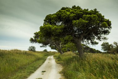 Akdeniz bisiklet yolu