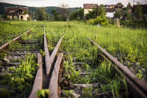 Biz burada bölünmüş