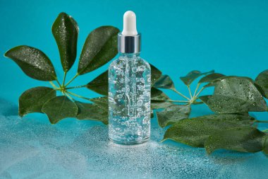 Kolajenle yaşlanma önleyici serum ve yeşil yapraklı ıslak mavi arka planda damlatıcıyla cam şişede peptid. Güzel sağlıklı cilt için cilt bakımı esansı. Saflık kavramı