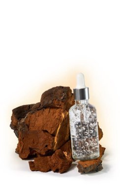Doğal bir chaga mantarı (Inonotus Obliquus) üzerinde cam bir şişe içindeki yaşlanma önleyici serum, gölgesiz kesme yolu ile beyaz arka planda izole edilmiştir. Doğal kozmetik konsepti.
