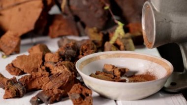 Beyaz arka planda chaga parçaları olan doğal chaga mantarı öğütülmüş. Bir yığın doğranmış mantar, yakın çekim. Inonotus Obliquus. 