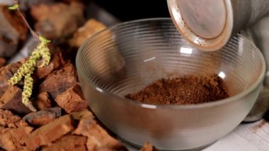 Beyaz arka planda chaga parçaları olan doğal chaga mantarı öğütülmüş. Bir yığın doğranmış mantar, yakın çekim. Inonotus Obliquus. 