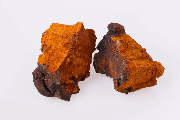  Beyaz arka planda doğal Chaga mantar parçaları var. Bir yığın doğranmış mantar, yakın çekim. Inonotus Obliquus. 