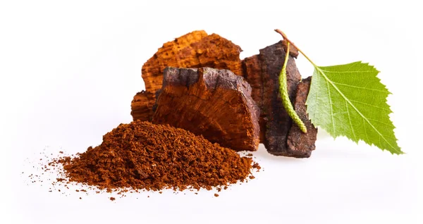 Beyaz arka planda doğal Chaga mantar parçaları var. Bir yığın doğranmış mantar, yakın çekim. Inonotus Obliquus. 