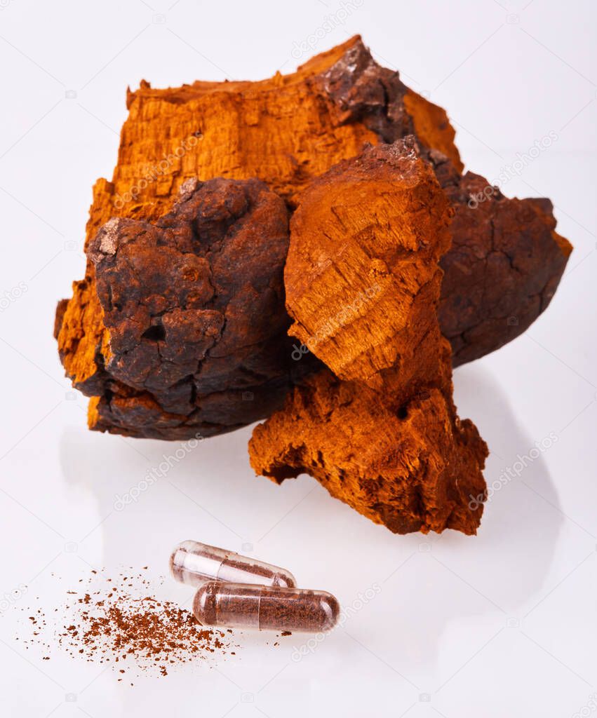 Natural Chaga mushroom pieces with transparent capsules isolated on white background. A pile of chopped chaga mushroom, close up. Inonotus Obliquus. 