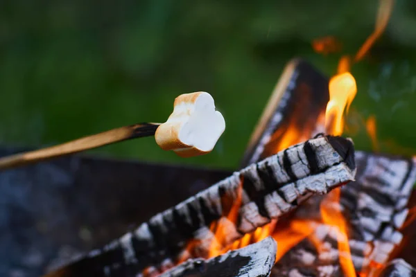 Weiße Marshmallows Auf Stöcken Werden Über Den Flammen Gegrillt Marshmallows — Stockfoto