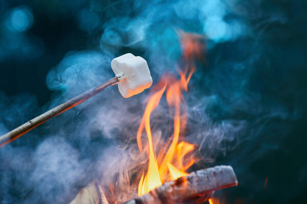 Белый зефир на палочках поджаривают над огненным пламенем. Зефир жарят на костре.