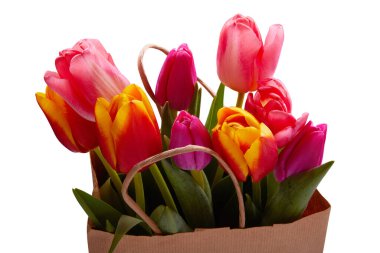 Kese kağıdındaki taze pembe lale çiçekleri beyaza izole edilmiş. Boş bir alışveriş poşetinde renkli lalelerden oluşan güzel bir buket. Selamlama konsepti. Boşluğu kopyala, kapat