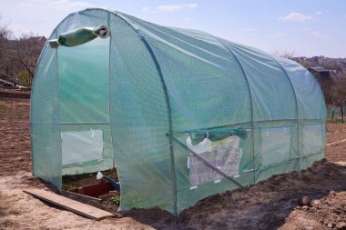 Gable çatısı olan bir sera, bitki yetiştirmek için bahçe yatağı. Sebze ve çiçekler için bahçecilik konservatuarı. Serada bahçe işleriyle uğraşıyorum..