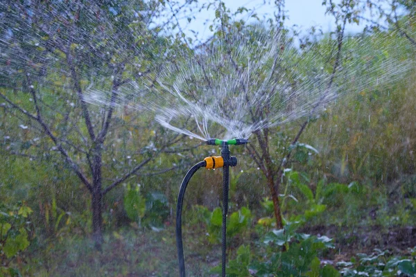 Automatisches Bewässerungssystem Für Den Obstgarten — Stockfoto