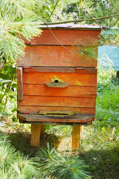 Bee Apiary Gray Beehive Made Tree Wood Deck — Stock Photo, Image