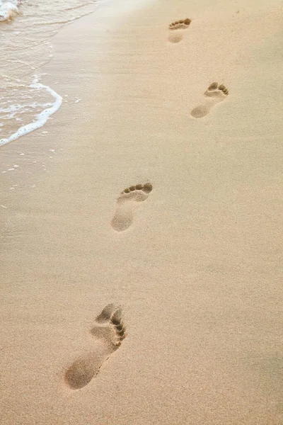 Foot Prints Beach Seashore Sea — стоковое фото