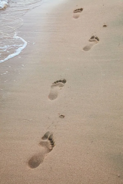 Foot Prints Beach Seashore Sea — Stockfoto
