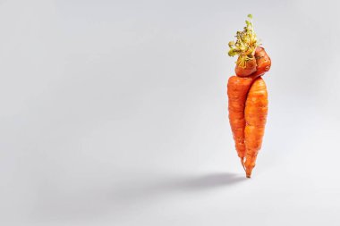 Beyaz arka planda havuçlar ve fotokopi alanı. Sembolize etmek: aşk ya da LGBT konsepti. İlişkiler