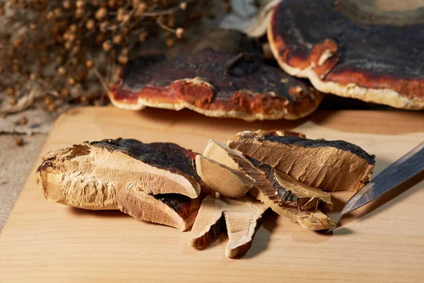 Dilimlenmiş Ganoderma Lucidum mantarı (Reishi mantarı veya Lingzhi mantarı olarak da bilinir) ahşap arka planda. Çin bitkisel ilaçları.