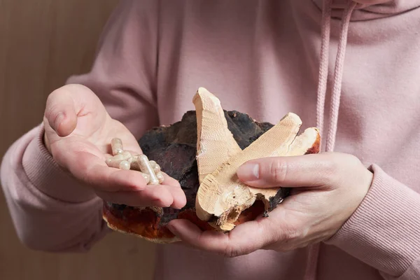 Dilimlenmiş Reishi mantarı (Ganoderma Lucidum olarak da bilinir) ve bazı hapları tutan kadın eller.