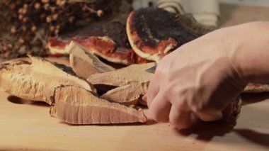 Ahşap zemin üzerinde Ganoderma lucidum mantarı (Reishi mantarı veya Lingzhi mantarı olarak da bilinir). Çin bitkisel ilaçları.