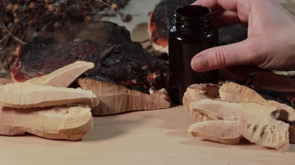 Ganoderma Lucidum Kapseln Mit Dunkler Flasche Mit Aufgeschnittenem Ganoderma Lucidum — Stockvideo